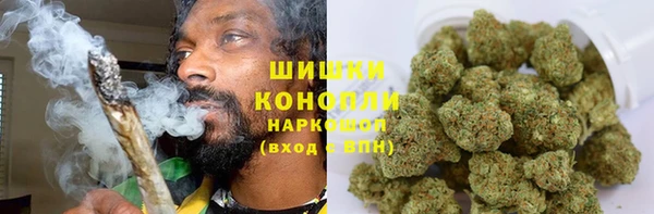 МДПВ Бородино