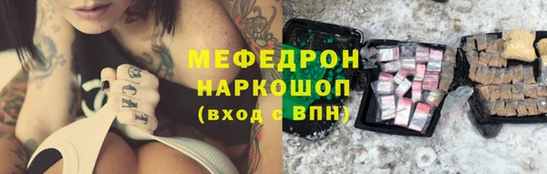 МДПВ Бородино