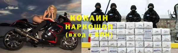МДПВ Бородино