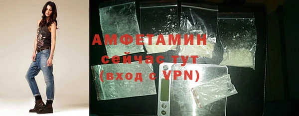 МДПВ Бородино
