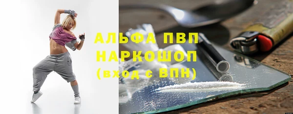 МДПВ Бородино