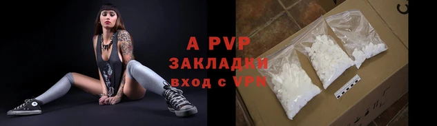 МДПВ Бородино