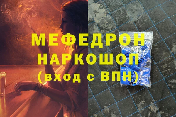 МДПВ Бородино