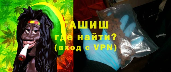 МДПВ Бородино