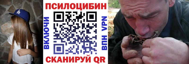 даркнет сайт  Балашиха  Галлюциногенные грибы Psilocybine cubensis 